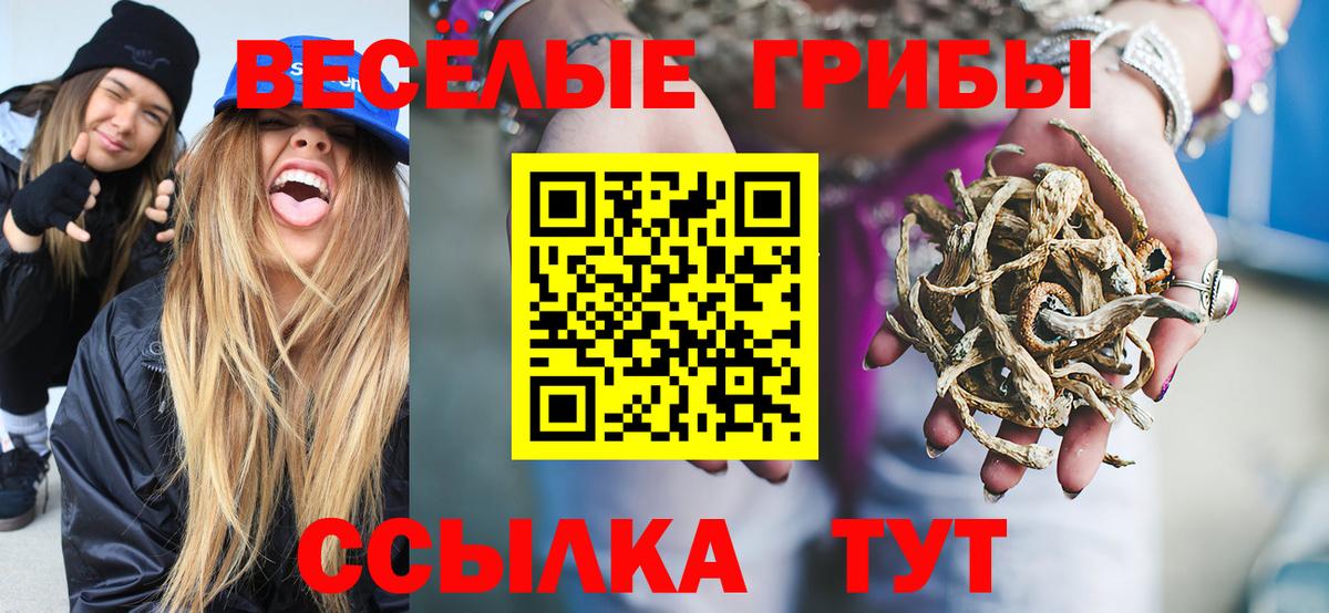 Псилоцибиновые грибы Psilocybine cubensis  даркнет сайт  Сертолово  Вход с VPN 